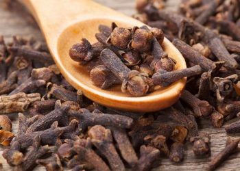 Santé : Le Clou de Girofle et ses recettes