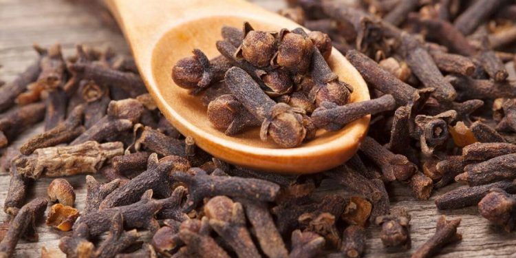 Santé : Le Clou de Girofle et ses recettes