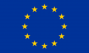 Bénin : Appel d’offres pour assurer le service de nettoyage dans les bureaux de la Délégation de l’UE à Cotonou