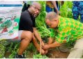 Bénin : 2500 plants mis en terre au CEG Yokpo à Zè