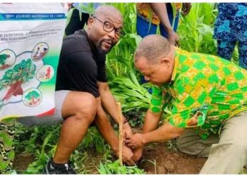 Bénin : 2500 plants mis en terre au CEG Yokpo à Zè