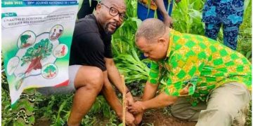 Bénin : 2500 plants mis en terre au CEG Yokpo à Zè