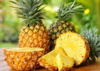 Bénin : Le recensement des acteurs de la filière ananas prend fin le 15 Août 2023
