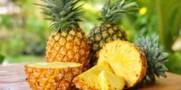 Bénin : Le recensement des acteurs de la filière ananas prend fin le 15 Août 2023