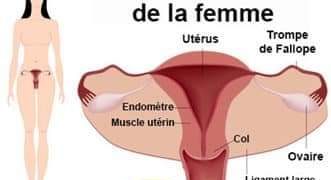 Santé : Dr Serge Dossou-Yovo parle de la sécheresse vaginale et recommande