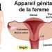 Santé : Dr Serge Dossou-Yovo parle de la sécheresse vaginale et recommande