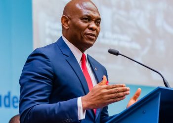 Arabie Saoudite : Tony Elumelu copréside le “New Africa Summit”