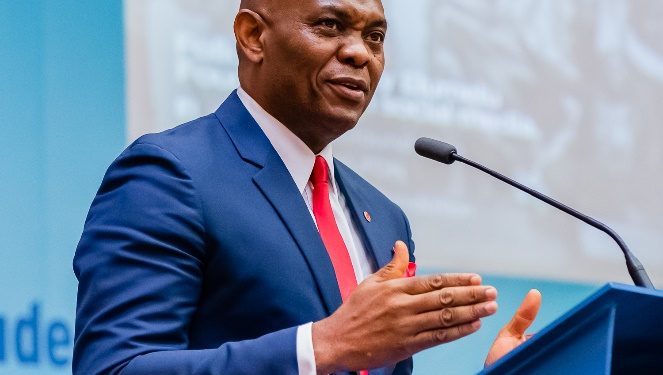 Arabie Saoudite : Tony Elumelu copréside le “New Africa Summit”
