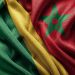 Bénin-Maroc : Convergence de vues sur la paix, la sécurité au Sahel et l’intégrité territoriale